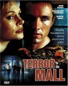 Terror in the Mall poster