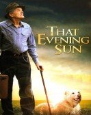 That Evening Sun (2009) poster