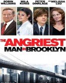 The Angriest Man in Brooklyn (2014) Free Download