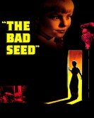 The Bad Seed Free Download