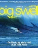 The Big Swell poster