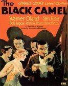 The Black Camel poster