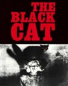The Black Cat Free Download