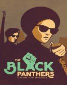 The Black Panthers: Vanguard of the Revolution Free Download