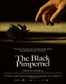 The Black Pimpernel poster