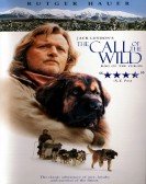 The Call of the Wild Dog of the Yukon poster