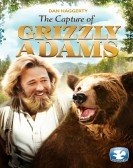 The Capture of Grizzly Adams Free Download