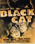 The Case of the Black Cat poster