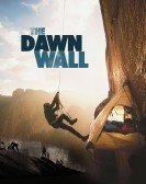 The Dawn Wall Free Download