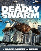 poster_the-deadly-swarm_tt23748546.jpg Free Download