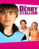 poster_the-derby-stallion_tt0451038.jpg Free Download