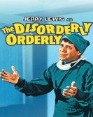 poster_the-disorderly-orderly_tt0058018.jpg Free Download