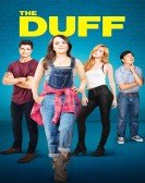 The DUFF 2015 poster