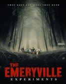The Emeryvil poster