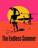 The Endless Summer Free Download
