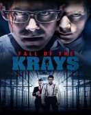The Fall of the Krays (2016) poster
