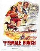 The Female Bunch poster