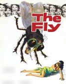 The Fly (1958) poster