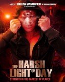 The Harsh Light of Day poster