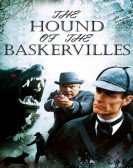 poster_the-hound-of-the-baskervilles_tt0264695.jpg Free Download