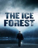 The Ice Forest Free Download