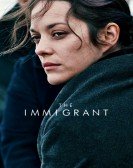The Immigrant (2013) poster