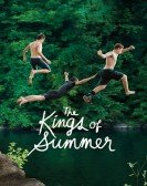 The Kings of Summer (2013) Free Download