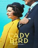 poster_the-lady-bird-diaries_tt26084296.jpg Free Download