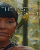 The Last Forest Free Download