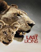 The Last Lions (2011) Free Download