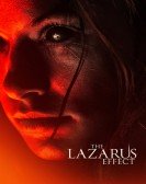 The Lazarus Effect (2015) Free Download