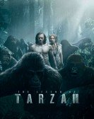 The Legend of Tarzan (2016) poster