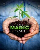 poster_the-magic-plant_tt18953138.jpg Free Download