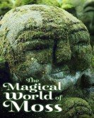 The Magical World of Moss Free Download