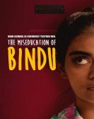 The MisEducation of Bindu Free Download