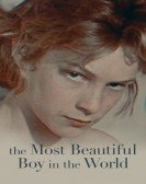 poster_the-most-beautiful-boy-in-the-world_tt8801666.jpg Free Download