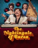 The Nightingale of Bursa Free Download