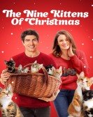 The Nine Kittens of Christmas Free Download