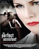 The Perfect Assistant Free Download
