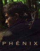 The Phoenix poster