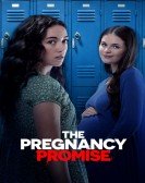 The Pregnancy Promise Free Download