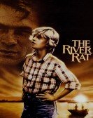 poster_the-river-rat_tt0088006.jpg Free Download