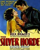 The Silver Horde Free Download