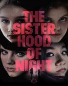 The Sisterhood Of Night Free Download