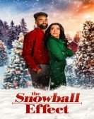 The Snowball Effect Free Download