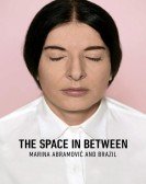 The Space in Between: Marina AbramoviÄ‡ and Brazil Free Download