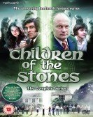 The Stone Ch poster