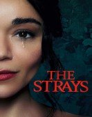 The Strays Free Download