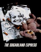 The Sugarland Express (1974)