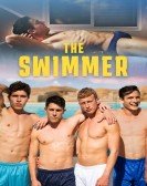 The Swimmer Free Download